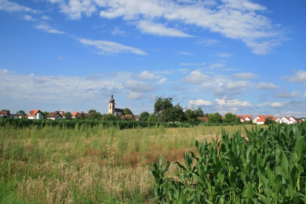 Odas Feriendomizil Europapark Kappel-Grafenhausen Dış mekan fotoğraf